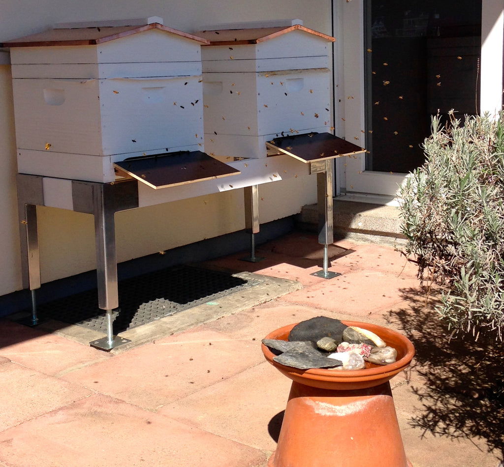 j'ai des abeilles! Maintenant quoi?