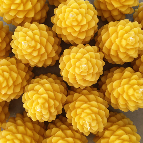 Bienenwachskerzen als Pinienzapfen