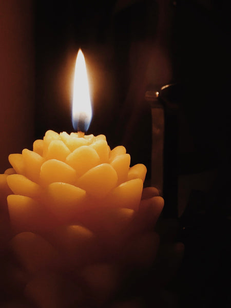 Shop meine Kollektion &lt;br&gt; ✿ Weihnachten ✿